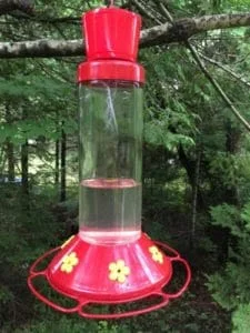 hummingbird feeder